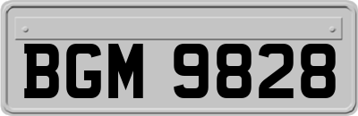 BGM9828