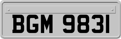BGM9831