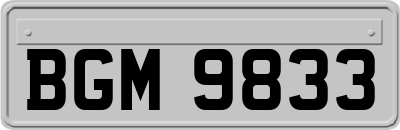 BGM9833