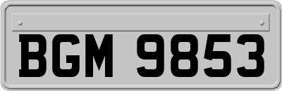 BGM9853