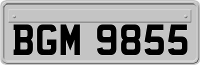 BGM9855