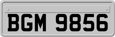 BGM9856