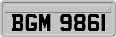 BGM9861