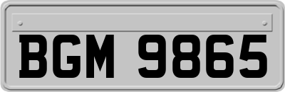 BGM9865