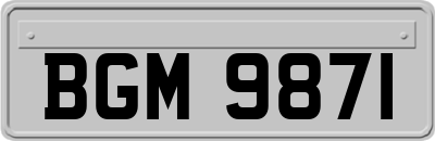 BGM9871