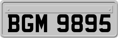 BGM9895