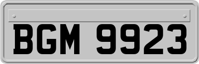 BGM9923