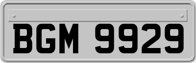 BGM9929
