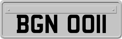 BGN0011