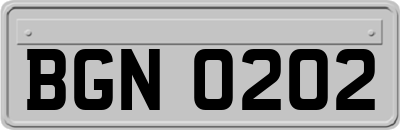 BGN0202