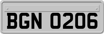 BGN0206