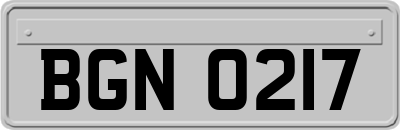 BGN0217