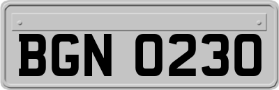 BGN0230