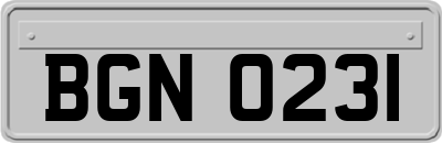 BGN0231