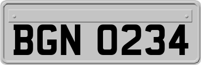 BGN0234