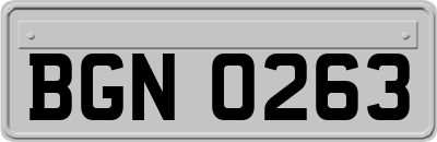 BGN0263