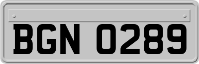 BGN0289