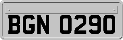 BGN0290