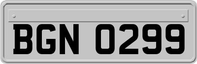 BGN0299