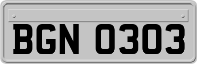BGN0303