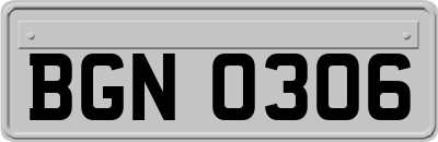 BGN0306