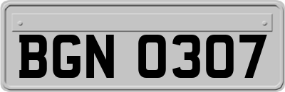 BGN0307