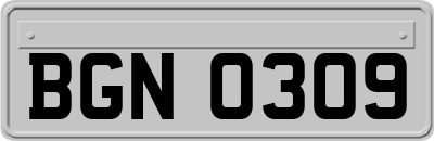 BGN0309