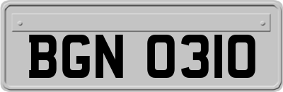 BGN0310