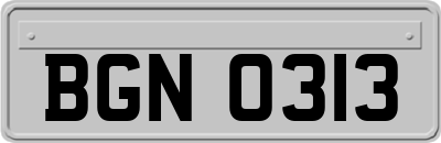 BGN0313