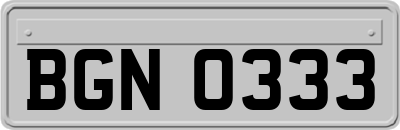BGN0333