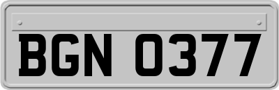 BGN0377