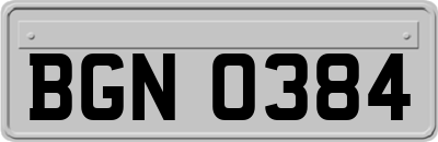 BGN0384