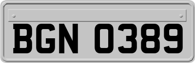 BGN0389