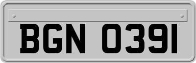 BGN0391