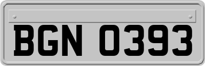 BGN0393