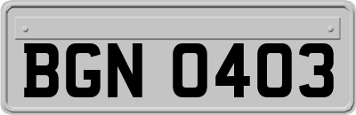 BGN0403
