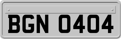 BGN0404
