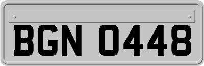 BGN0448