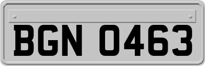 BGN0463