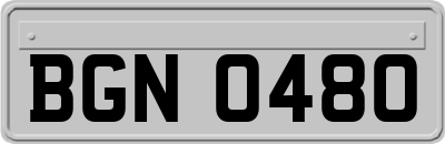 BGN0480