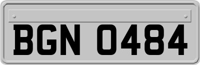 BGN0484