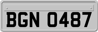 BGN0487