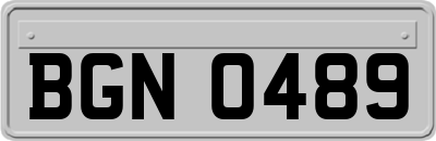 BGN0489