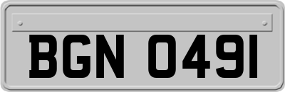 BGN0491