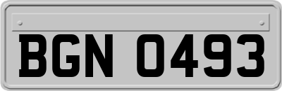 BGN0493