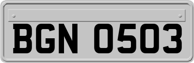 BGN0503