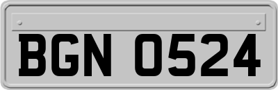 BGN0524