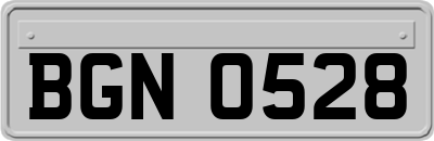 BGN0528