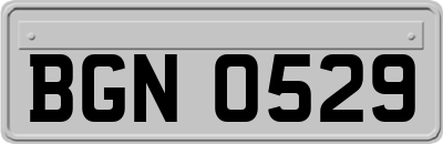 BGN0529