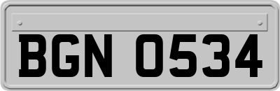 BGN0534